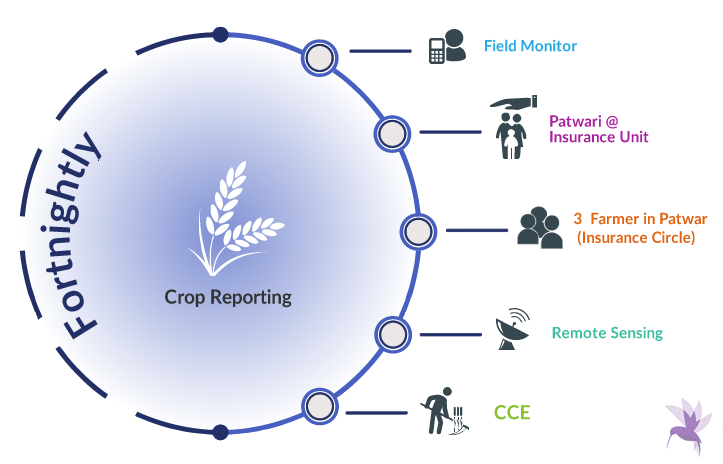 Fortnightly crop reporting